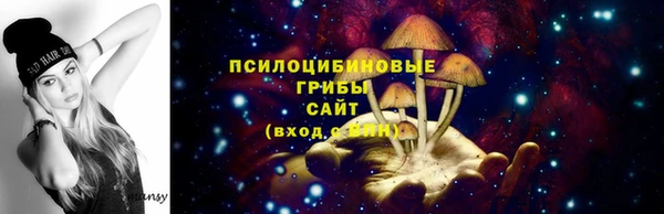 герыч Бронницы