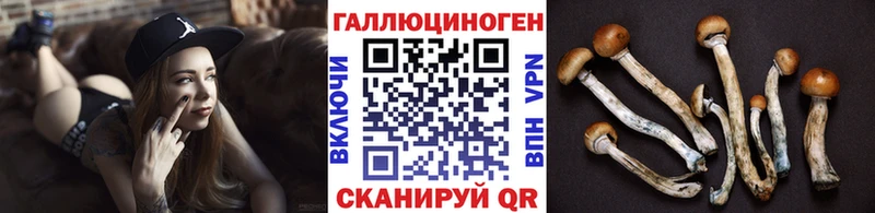 Купить закладки Валдай Псилоцибиновые грибы Magic Shrooms